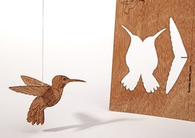 Houten kaart - kolibrie