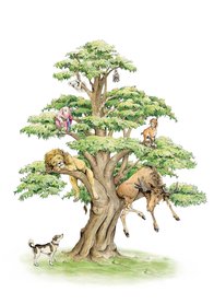 Wenskaart - Animal tree