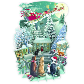 3D Pop Up wenskaart - Kerst - It's Santa